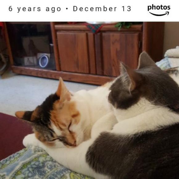 Meet your Posher, Denise - Picture 4 of 6